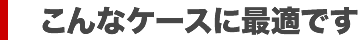 こんなケースに最適です